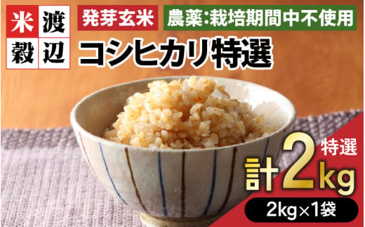 【令和6年産・新米】【発芽玄米】コシヒカリ「特選」 特別栽培米使用 2kg 【無洗米 米 こしひかり 玄米 ギャバ GABA 特別栽培 食物繊維 栄養 真空パック ごはん ご飯 おいしい ふるさと納税米】 [A-2962]