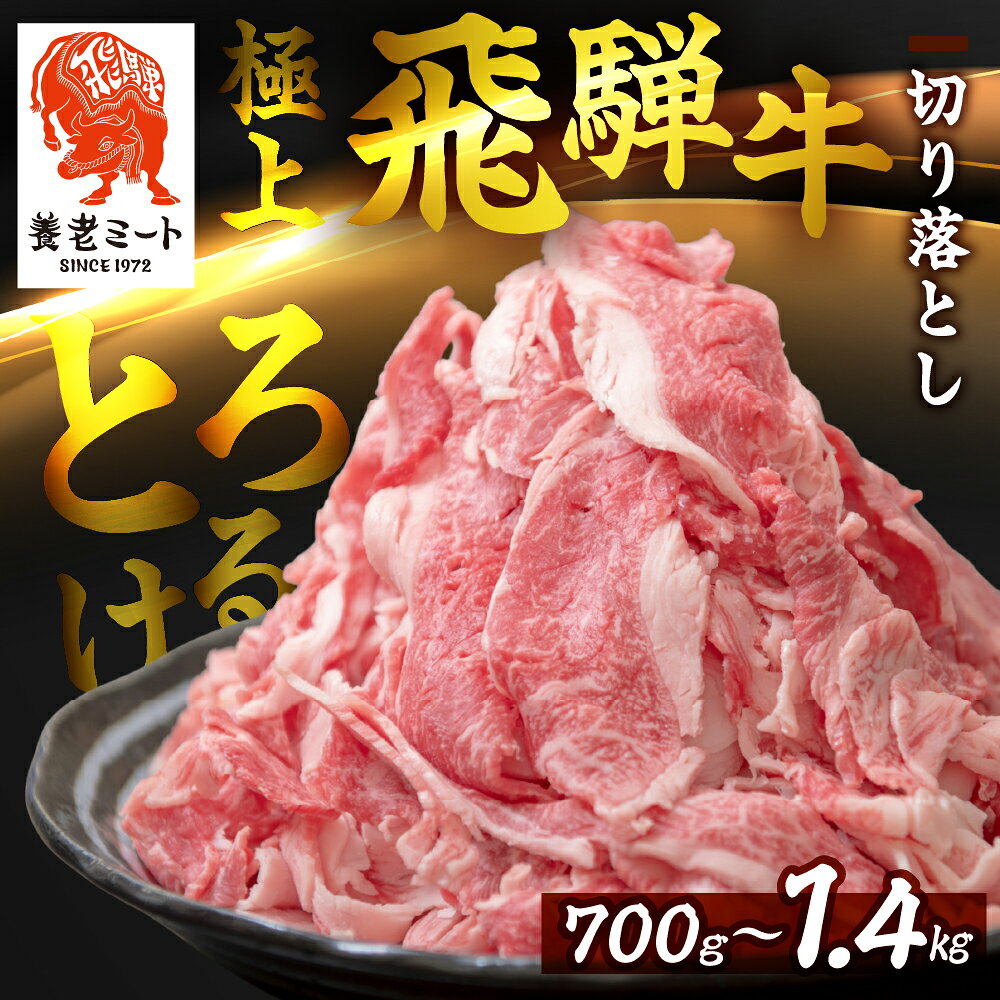【ふるさと納税】訳あり 選べる量 飛騨牛 切り落とし700g 700g×2 精肉 牛肉 和牛 黒毛和牛 飛騨牛 すきやき すきやき しゃぶしゃぶ 切り落とし