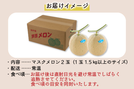 【先行予約】青肉マスクメロン（1.5kg以上 2玉入）味も見た目も抜群！アールスメロン  / あわら 期間限定 果物 フルーツ 産地直送 青肉 人気 ギフト 贈答 ※2024年7月上旬より順次発送 