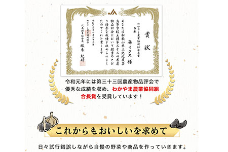 熟成発酵 バラ黒にんにく イクス産業《90日以内に順次出荷(土日祝除く)》 和歌山県 紀の川市