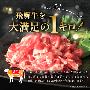 飛騨牛切り落とし1kg 250g×4 【0016-019】牛肉 冷凍 国産牛 牛肉 お中元 御中元 牛肉 御歳暮 和牛 牛肉 すき焼き 肉じゃが 牛肉 カレー 牛肉 シチュー 牛丼 煮込み料理 牛肉 