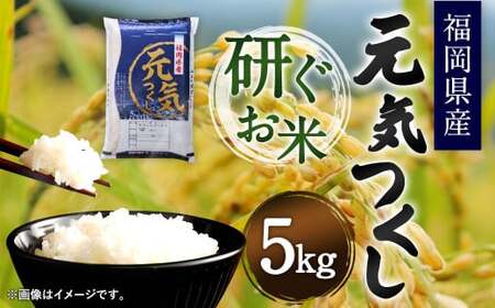 【令和7年産】福岡県産 元気つくし 研ぐお米 5kg お米 ご飯 米