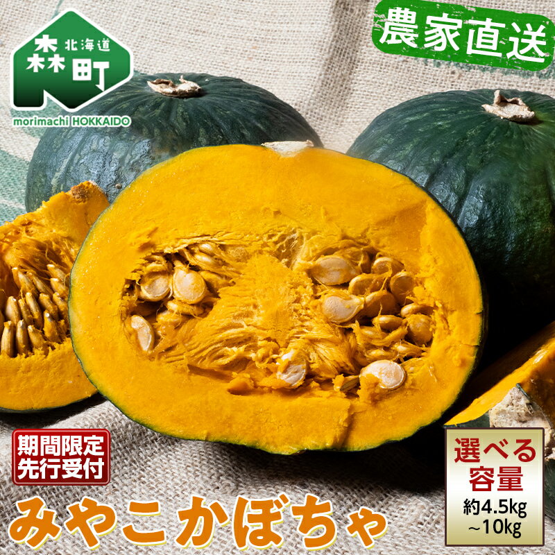 【ふるさと納税】 【選べる容量】 【先行予約】みやこかぼちゃ約4.5kg 約10kg 北海道森町産 （令和7年7月下旬～8月上旬順次配送） ≪こうのファーム≫ カボチャ 南瓜 野菜 根菜 煮物 食材 スープ サラダ かぼちゃプリン 天ぷら 北海道 森町 ふるさと納税 mr1-0460