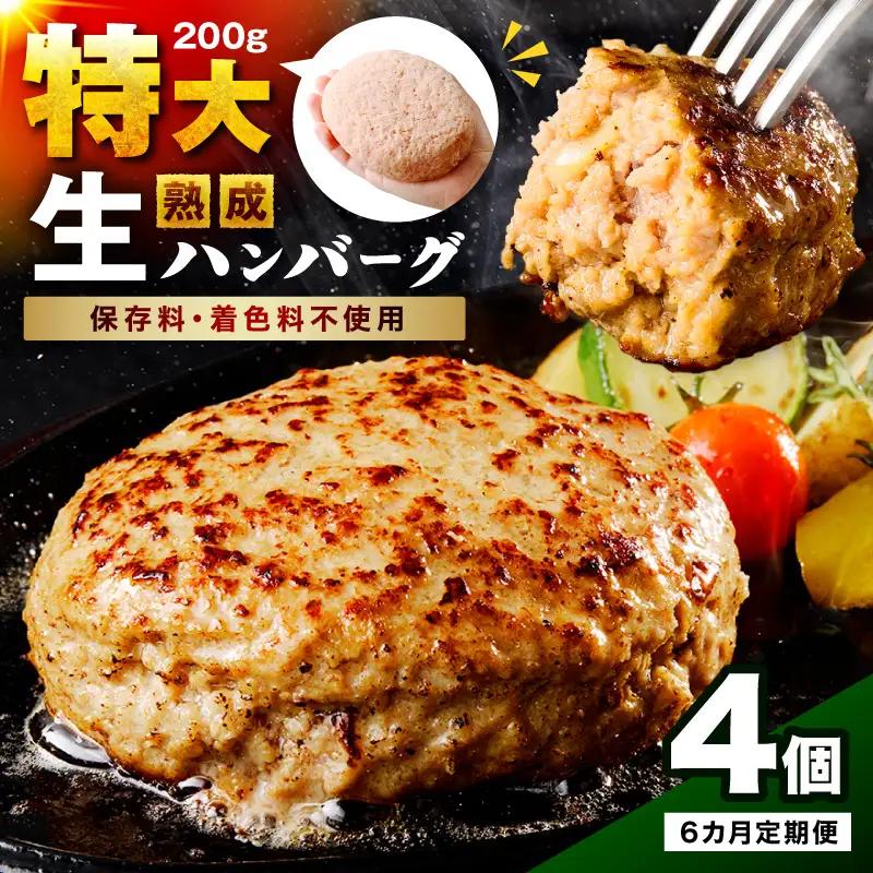 【無添加】食べ応え抜群！ 生ハンバーグ 200g 4個 6ヶ月定期便【087B-001】