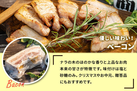 ポークチョリソー×5本 ＆ ベーコン×200g、高梨商店のチキンカレー×1食の人気３点セット