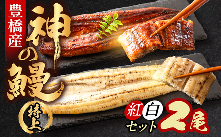 神の鰻 紅白2尾 国産 特上 うなぎ