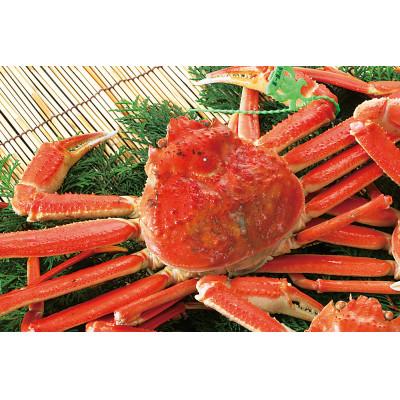 ふるさと納税 香美町 松葉がに 釜茹で 冷凍 兵庫県香住産 約600〜700g×1匹 【2025年11月中旬以降順次発送】 |  | 01