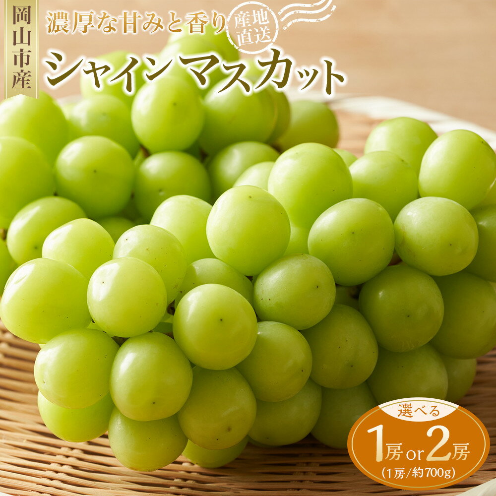 【ふるさと納税】＜選べる容量＞ぶどう 2026年 シャイン マスカット 1房 約700g / 2房 マスカット ブドウ 葡萄 岡山市産 国産 フルーツ 果物 ギフト　 | フルーツ 果物 くだもの 食品 人気 おすすめ 送料無料