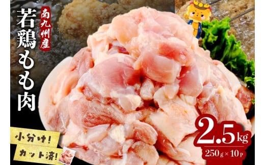 【志布志市制20周年記念】小分けで便利！南九州産若鶏もも肉切身 計2.5kg(250g×10P) a1-141
