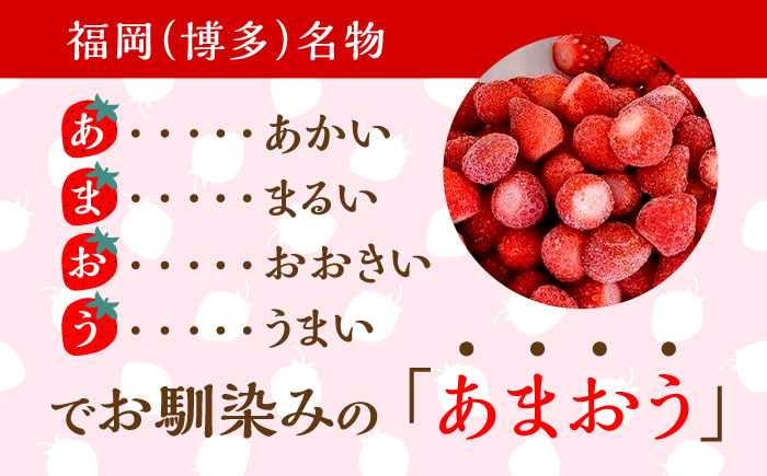 福岡県産【博多冷凍あまおう】約500g×2袋 合計約1kg《築上町》【株式会社H&amp;Futures】 [ABDG005]
