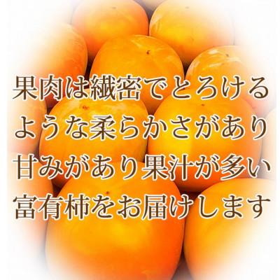 ふるさと納税 北山村 【ご家庭用わけあり】和歌山秋の味覚 富有柿 3.5kg【uot741】 |  | 01