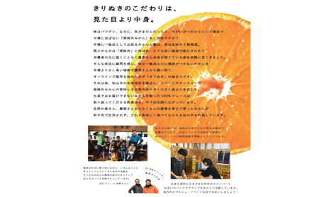 【2026年12月中旬頃から順次発送】訳あり 温州みかん 5kg  |  みかん ミカン 蜜柑 柑橘  うんしゅうみかん 愛媛県産 甘い 愛媛みかん フレッシュ おいしい フルーツ 規格外 わけあり 
