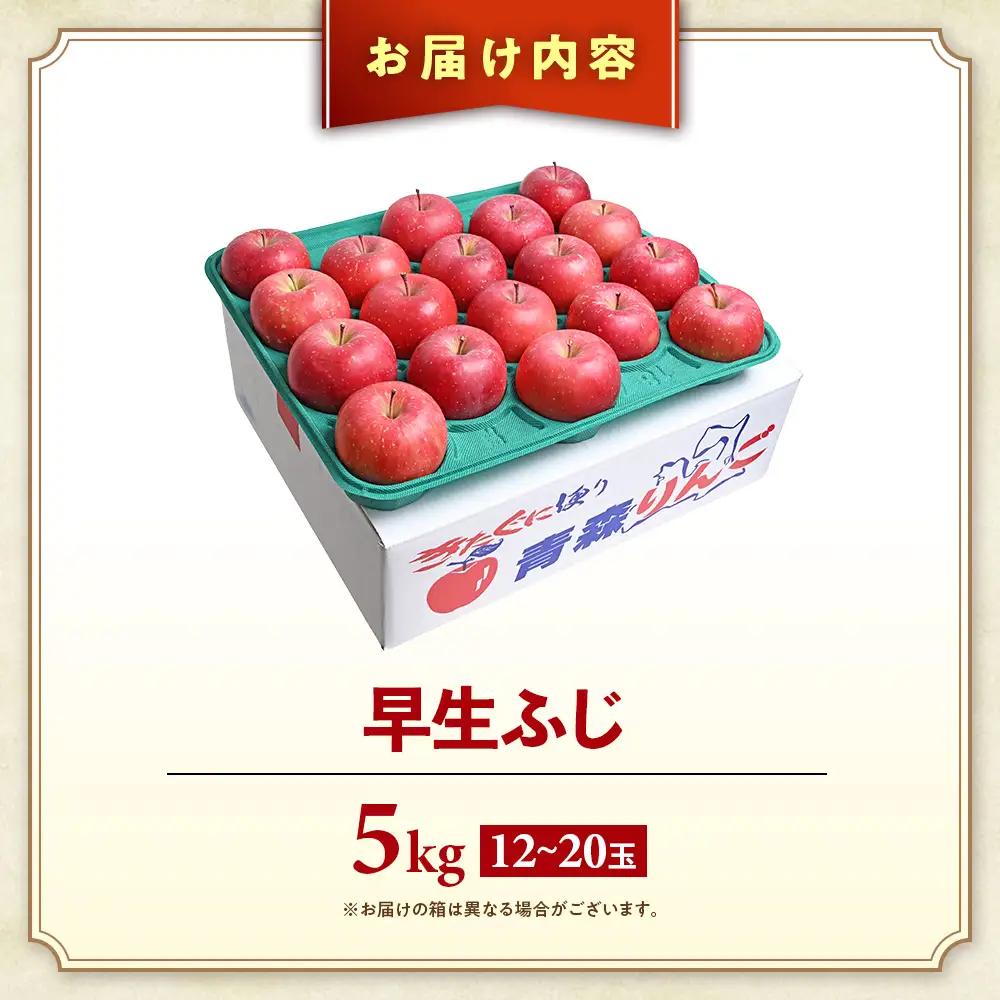 青森県産りんご 早生ふじ 約5kg りんご 9月下旬～