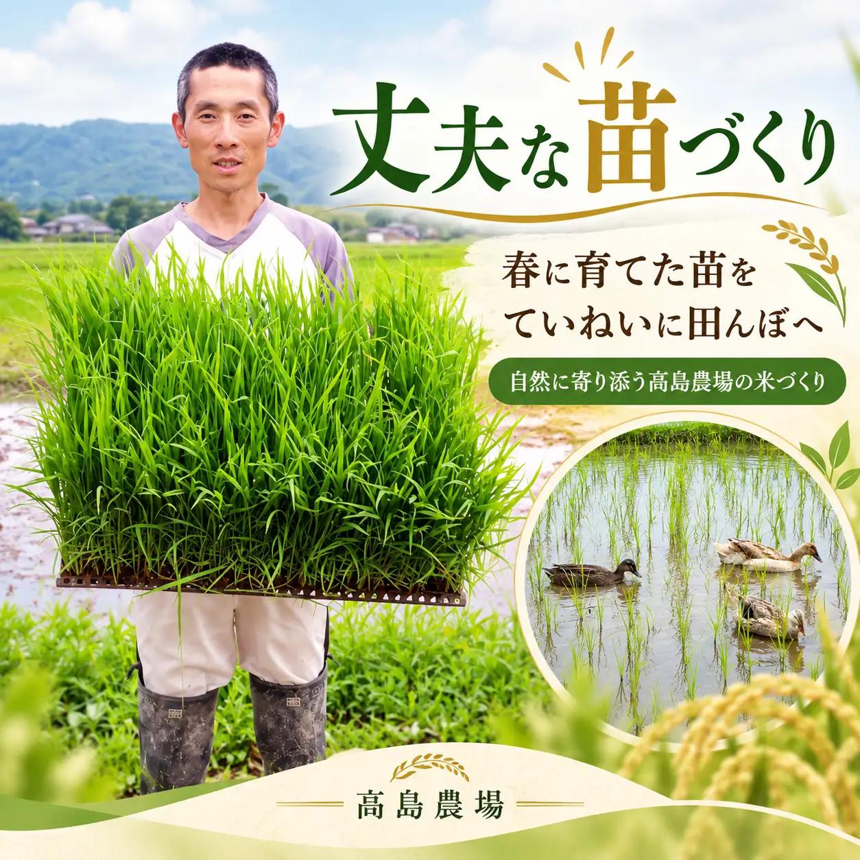 有機農業 10kg 玄米 高島農場 | ササニシキ 新潟県 佐渡市 玄米