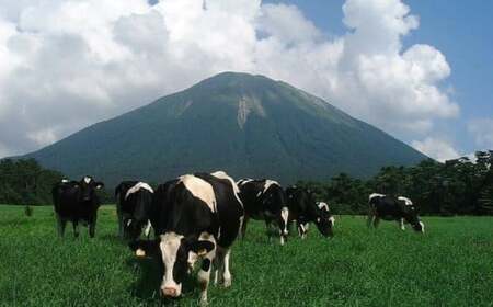 【大山乳業】みるく畑 アイスセット （4種類 計8個） 大山乳業 大山アイス 詰め合わせ カップアイス シャーベット ミルク バニラ いちご ブルーベリー クリームチーズ 新甘泉 スイーツ 食べ比べ 