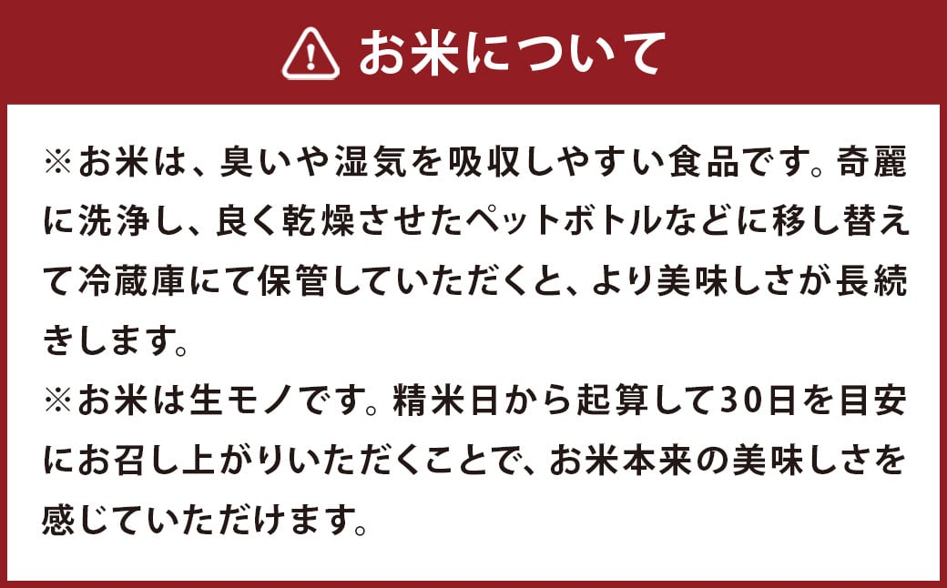 【令和7年産】 七城のお米 にこまる 5kg 米 白米 精米 こめ コメ お米 ごはん ご飯 菊池米食味コンクール金賞受賞 《10月中旬頃より出荷》