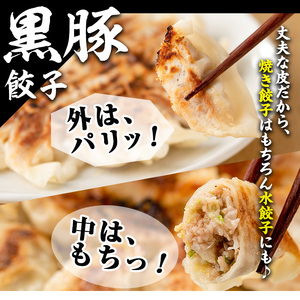 No.1327-n ＜3ヶ月以内に発送＞鹿児島黒豚使用の黒豚生餃子(計36個・12個入り×3パック)国産 九州産 ぎょうざ ギョウザ 冷凍 黒豚 豚肉 お肉 おかず【末永商店】【429】【861】