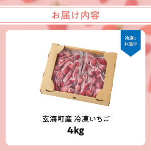 玄海町産 冷凍いちご 4kg ／ いちご【A184】