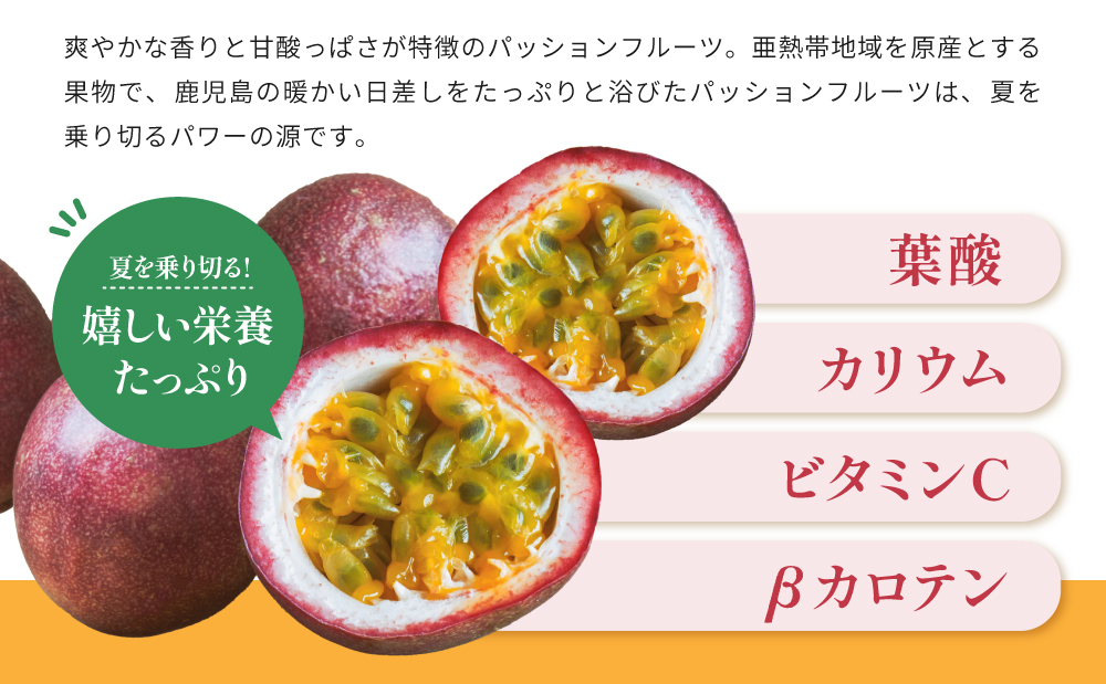 【鹿児島県産】パッションフルーツ 約2kg（10～12個程度×2箱） フルーツ 果物 旬 南国 鹿児島 南さつま市 清直kajuen