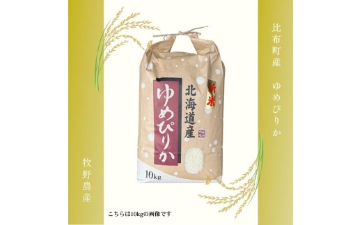 令和7年産 ゆめぴりか 精米 5kg【牧野農産】 米 お米 北海道米 特Aランク 国産 白米 コメ 北海道 比布町 ぴっぷ 1014-001