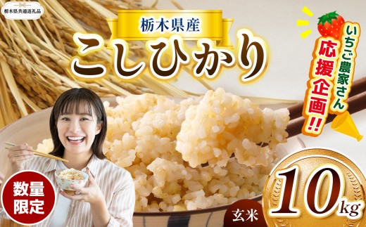 【栃木県共通返礼品】 【先行予約】数量限定 訳あり 定期便 令和8年度 栃木県産コシヒカリ 10kg | 数量限定 こしひかり  玄米 米 ごはん  玄米真空パック ふるさと納税 那珂川町 栃木県