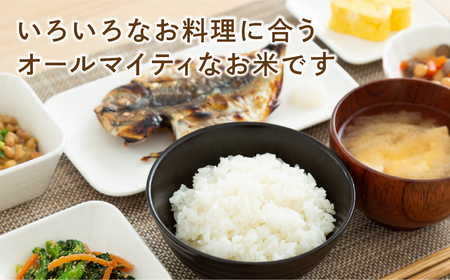 【令和7年産】ひとめぼれ 15kg ( 5kg × 3袋 ) お米 一等米 福島県産 田村市 ふぁせるたむら