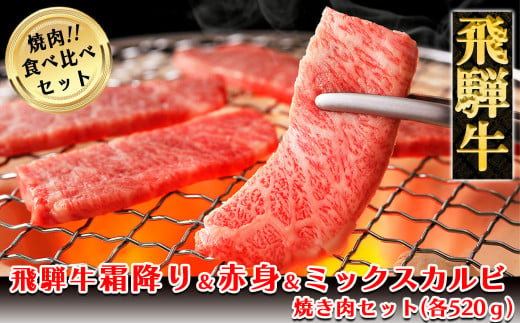 飛騨牛本日の霜降り・赤身・ミックスカルビ焼肉セット  各520g  【冷凍】ブランド牛 牛肉 国産 下呂温泉