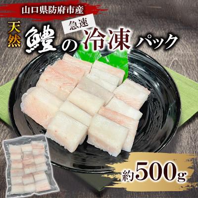 ふるさと納税 防府市 山口県防府市沖で獲れる天然鱧　約500g