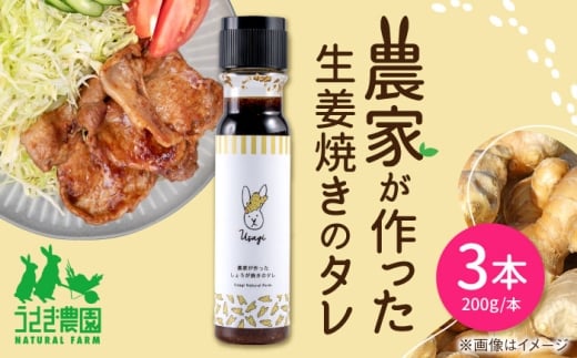 農家が作った生姜焼きのタレ 3本セット ギフトボックス入り【うさぎ農園】 [AYDJ011]