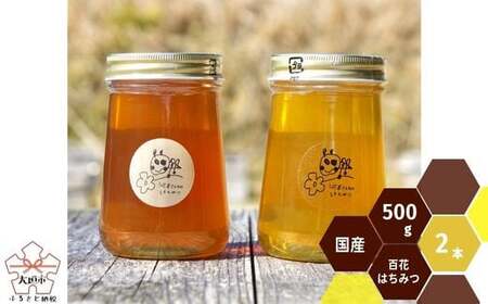 岐阜県上石津産・河本さんちの はちみつ (2種類の百花蜂蜜) 500g×2本 はちみつ