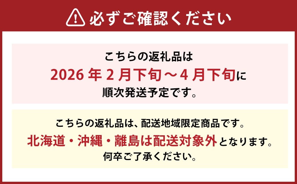 せとか 4L～L 約3kg 化粧箱入り（820）