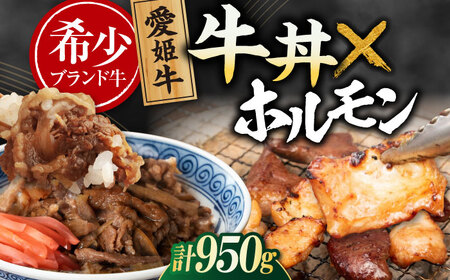 【冷凍】 牛丼×3食とミックスホルモン×500g 計950g [AGCC072] 総菜 人気