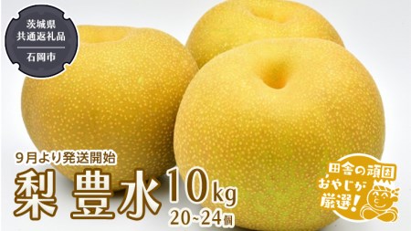 梨 豊水 10kg 20～24個【2025年9月から発送開始】（茨城県共通返礼品：石岡市産）田舎の頑固おやじが厳選！ 梨 豊水 高糖度 ギフト 甘い 美味しい フルーツ デザート