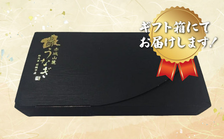 うなぎ 上州うなぎ白焼・蒲焼セット　各1尾（1尾150g以上）