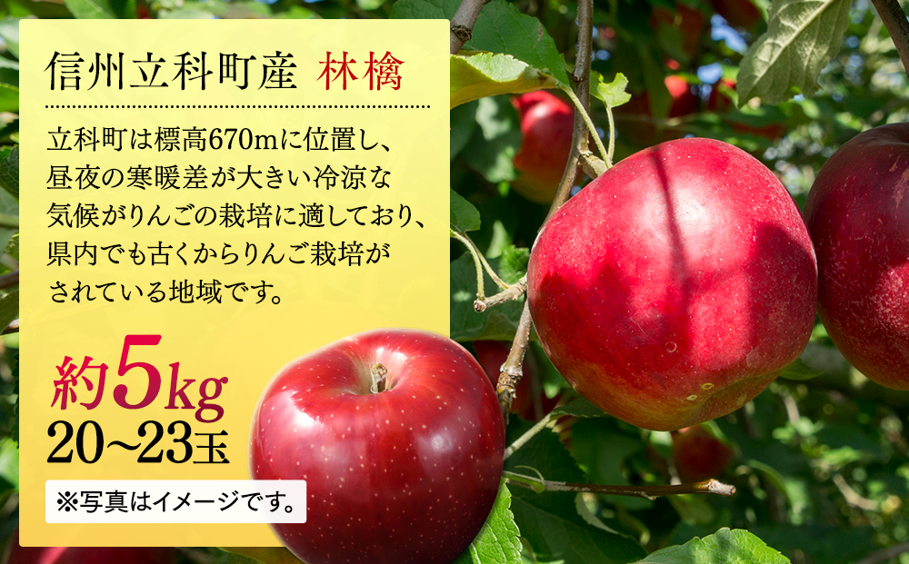 紅玉（約5kg、優20～23玉）