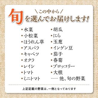 福岡県久留米市産　新鮮野菜セット
