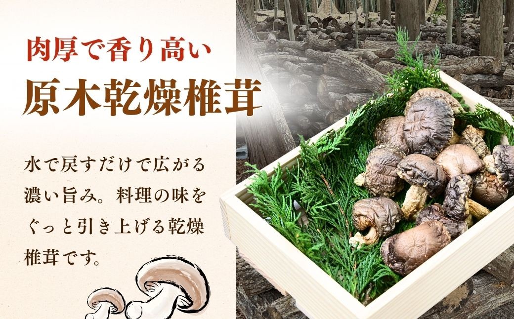 しいたけ シイタケ 乾しいたけ 干ししいたけ 干し椎茸 干しシイタケ 200g 龍ノ傘