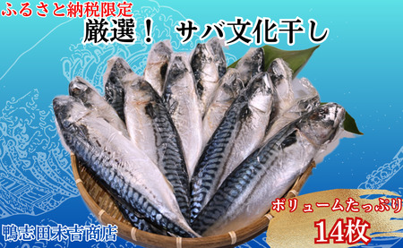 【ふるさと納税限定】 厳選！サバ文化干し １４枚 ！ 工場直送  サバ さば 鯖 さば文化 サバ文化 さば文化干し サバ文化干し 文化干し 塩サバ 塩鯖 塩 海鮮 銚子 冷凍 千葉県 銚子市 さば サバ 鯖 さば サバ 鯖 さば サバ 鯖 さば サバ 鯖 さば サバ 鯖 さば サバ 鯖 さば サバ 鯖 さば サバ 鯖 さば サバ 鯖 さば サバ 鯖 さば サバ 鯖 さば サバ 鯖 さば サバ 鯖 さば サバ 鯖 さば サバ 鯖 さば サバ 鯖