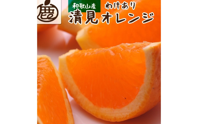 
＜2月より発送＞家庭用 清見オレンジ 2kg+60g（傷み補償分）【光センサー食頃出荷】【樹上完熟きよみオレンジ・清見タンゴール・清美】【わけあり・訳あり】 ※北海道・沖縄・離島への配送不可 フルーツ 果物 くだもの 柑橘
