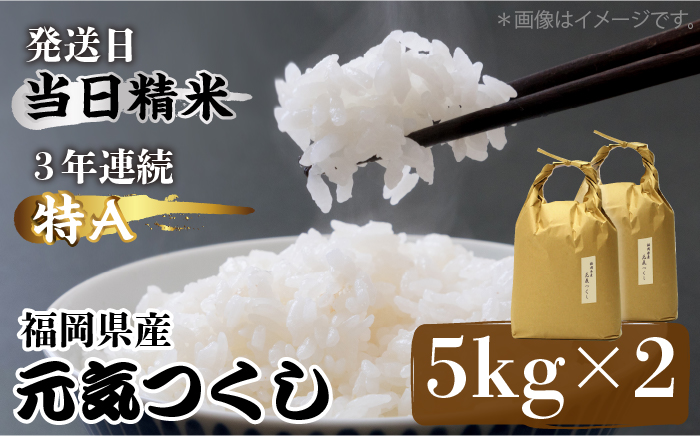 福岡県産【特A】評価のお米「元気つくし」5kg×2袋 [10kg] [白米]《築上町》【株式会社ベネフィス】 [ABDF030] 精米 米 ご飯 ごはん こめ コメ