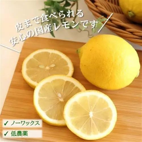 【ノーワックス】国産 紀州 レモン 約3kg(サイズおまかせ)　【★先行受付★2027年2月～発送】【1484257】