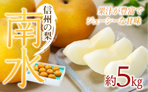
                  梨 南水 約5kg 2026年 令和8年発送分 信州の梨 フルーツ 果物 デザート なし ナシ なんすい ナンスイ 産地直送 長野県 信州産
                