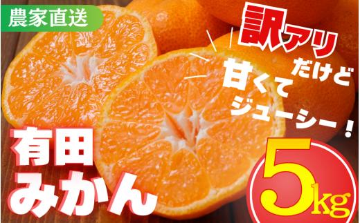 【訳あり】農家直送 有田みかん約5kg ご家庭用 サイズ混合 （お届け日指定不可）※2026年11月～2027年1月に順次発送予定　※北海道・沖縄・離島への配送不可　訳ありみかん 温州みかん サイズ混合 有機質肥料100% ふるさと納税 柑橘 有田 産地直送 【nuk161E】