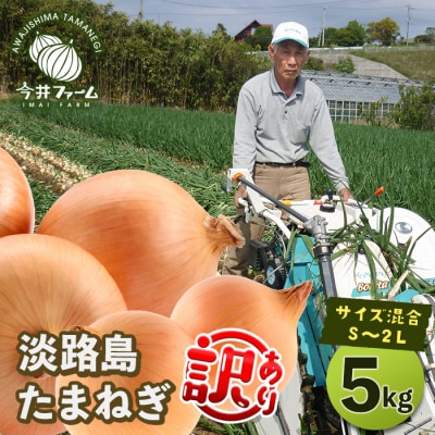 【訳アリ品】今井ファームの淡路島たまねぎ 5kg【サイズ混合S～2L】　ai01873