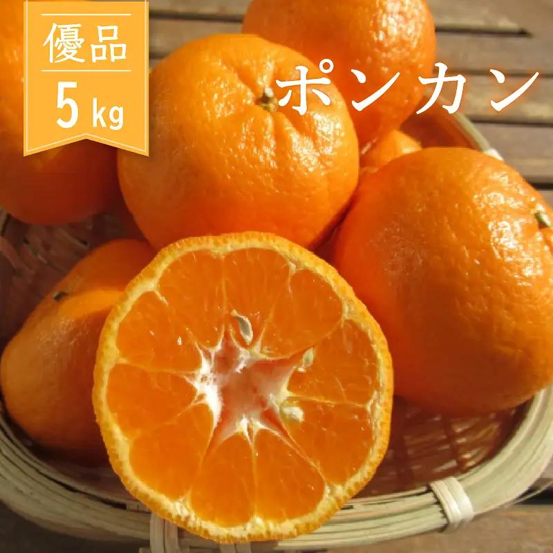 ぽんかん 優品 5kg 早期受付開始 2027年１月中旬