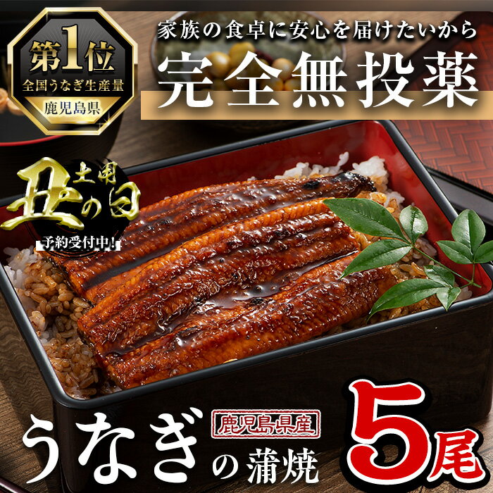 【ふるさと納税】＜丑の日先行予約受付中！＞鹿児島県産うなぎ蒲焼 (1尾あたり136g〜155g×5尾、タレ・山椒付き) 鰻 ウナギ うな重 ひつまぶし かばやき 九州産 国産 冷凍 【西日本養鰻】