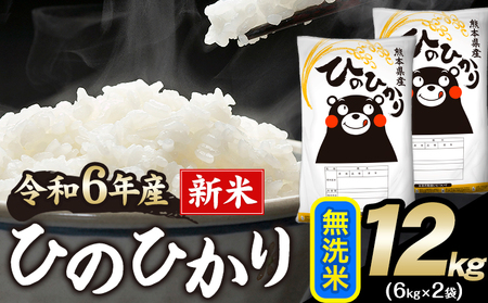 令和6年産 新米 早期先行予約受付中 ひのひかり 無洗米 12kg 《11月-12月より出荷予定》 無洗米 精米 熊本県産(南阿蘇村産含む) 単一原料米 南阿蘇村