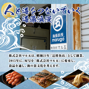 九州の味食べ比べ！豚骨ラーメン2種・合計10食(5食×2袋・各種1袋ずつ)ラーメン 豚骨 とんこつ 細麺 常温 常温保存 非常食【ksg1561】【マル五】
