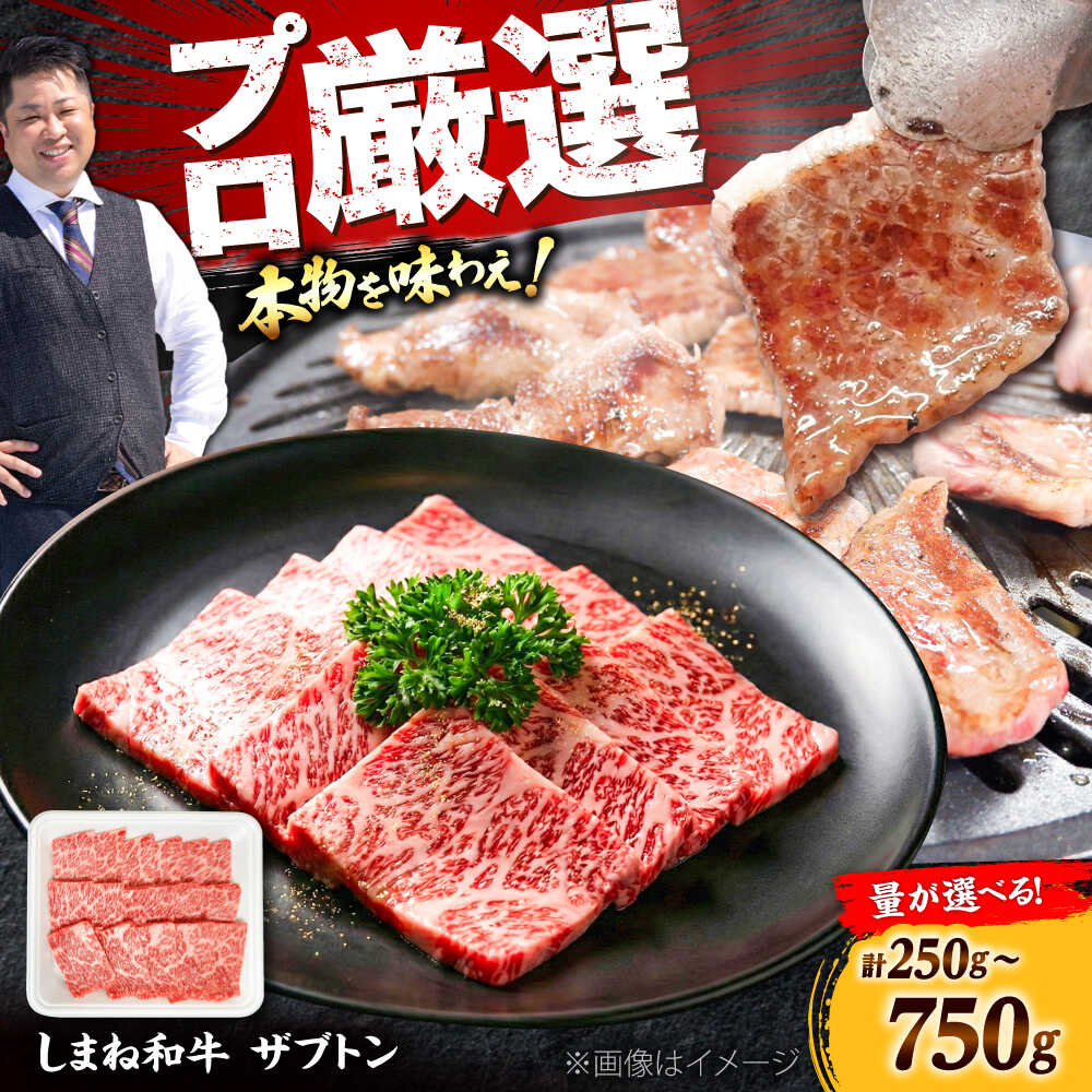 【ふるさと納税】【選べる容量】【高級部位】しまね和牛ザブトン 肉 和牛 牛肉 国産 国産牛 焼肉 リブロース 人気 黒毛和牛 しまね和牛 島根県雲南市/株式会社O.R.C[AIEF017]