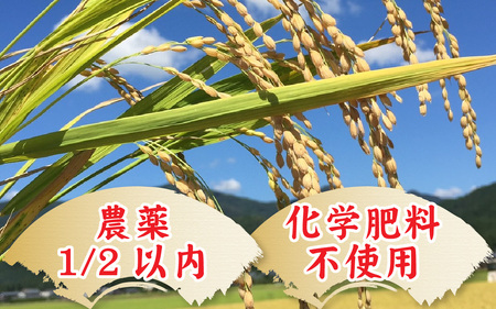【先行予約】【令和8年産　新米】【農家直送】減農薬・化学肥料不使用 特別栽培あきさかり 5kg×1袋（計5kg）【2026年10月中旬より順次発送】| お米 白米 ごはん ご飯 米 コメ 5キロ 令和